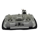 Luz Cortesia Dianteira Teto Interna Duster 2023 Original