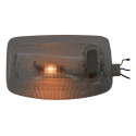 Luz Cortesia Interna Teto Renault Kwid 2019 Original