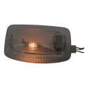 Luz Cortesia Interna Teto Renault Kwid 2021 Original