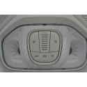 Luz Interna Teto Central Dianteira Argo 2020 Original