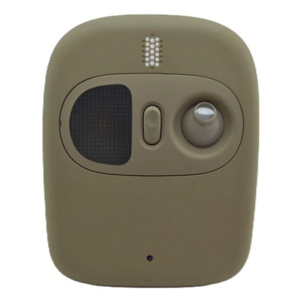 Luz Cortesia Interna Dianteira Teto Symbol 2010 Original