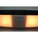 Luz Cortesia Interna Teto Nissan Kicks 2022 Original