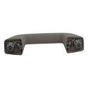 Puxador Alça Teto Pqp Peugeot Expert 2021 Original