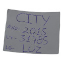 Luz Interna Teto Central Traseira Honda City 2015 Original